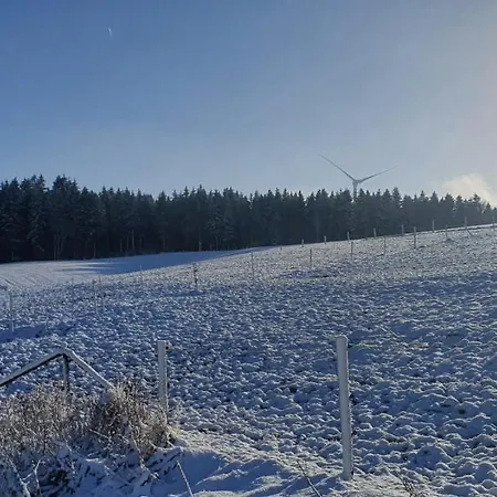 Schnorrenberg, Wellness & Nature Διαμέρισμα Hellenthal