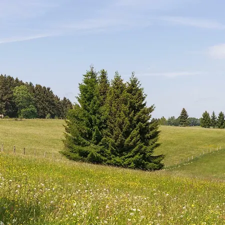 Schnorrenberg, Wellness & Nature Διαμέρισμα *