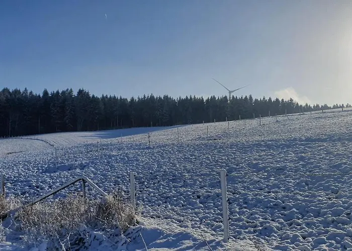 Schnorrenberg, Wellness & Nature 公寓 黑伦塔尔