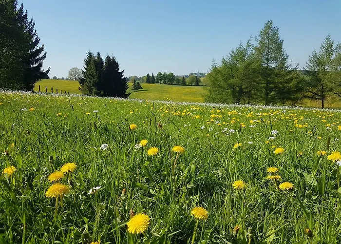 公寓 Schnorrenberg, Wellness & Nature *