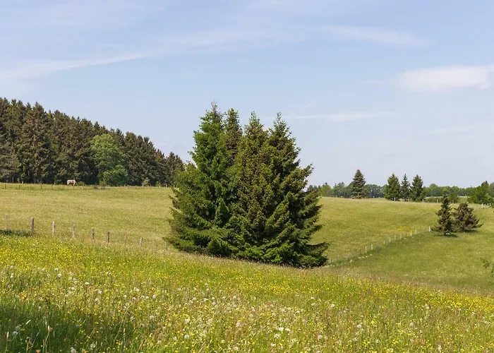 Schnorrenberg, Wellness & Nature アパート *