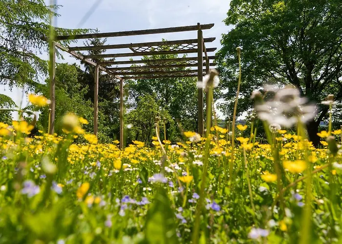 Schnorrenberg, Wellness & Nature ヘレンタール