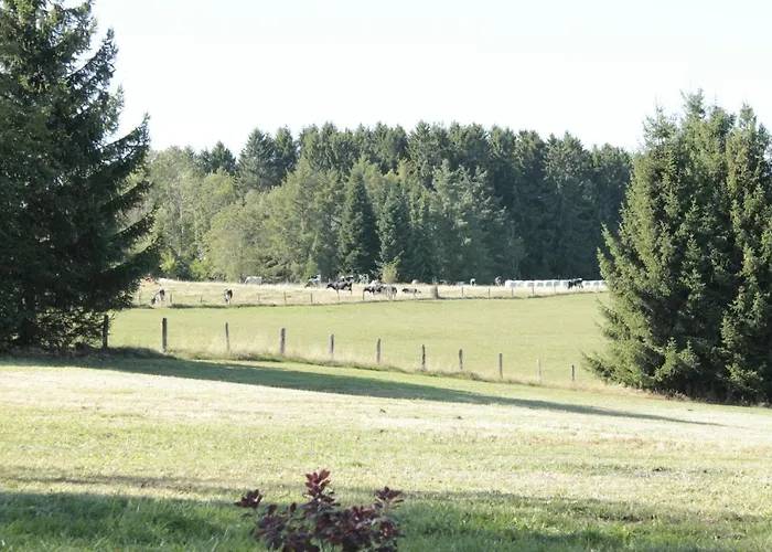 Schnorrenberg, Wellness & Nature 公寓 *